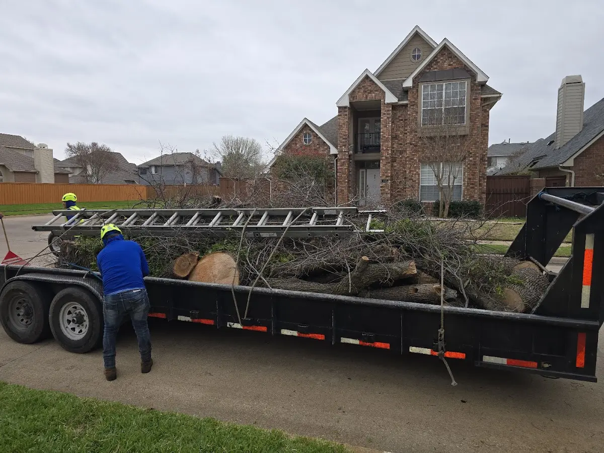 Expert Crown Reduction with proper safety equipment in Moline